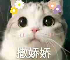 excel怎么转换成word文档-图片转换成excel的技巧-第6张图片