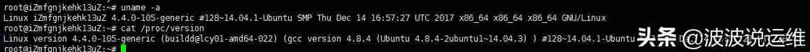 linux查看系统信息命令-查看电脑操作系统版本-第4张图片