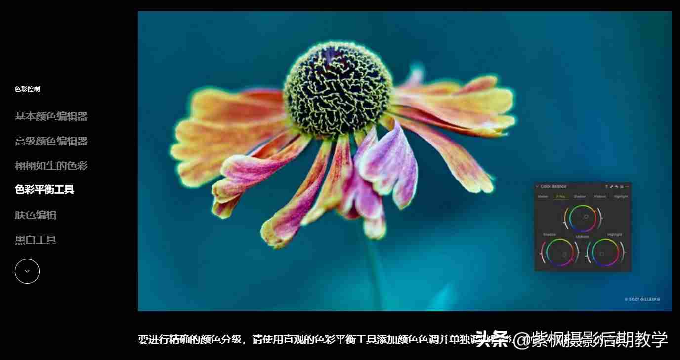 做相册的app有哪些-手机免费相册制作软件app-第2张图片