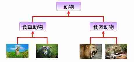 java中的继承是什么-java基本数据类型-第1张图片