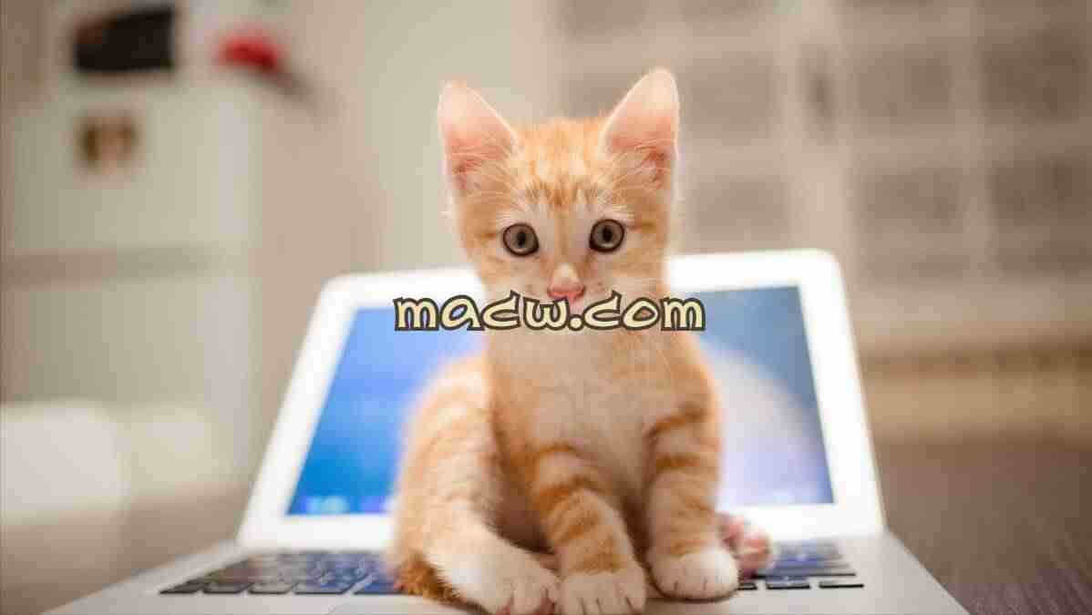 mac恢复出厂设置教程-macm1恢复出厂设置方法-第1张图片 mac恢复出厂设置教程-macm1恢复出厂设置方法-第1张图片