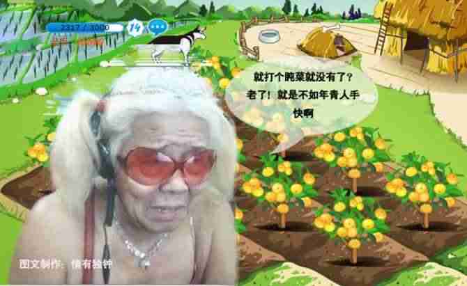 手机qq农场作物经验表-qq农场作物成熟时间表-第4张图片