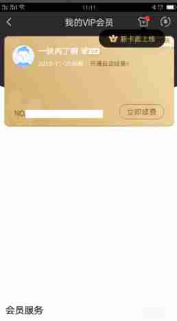 爱奇艺会员卡怎么激活便宜-爱奇艺卡密激活方法-第3张图片
