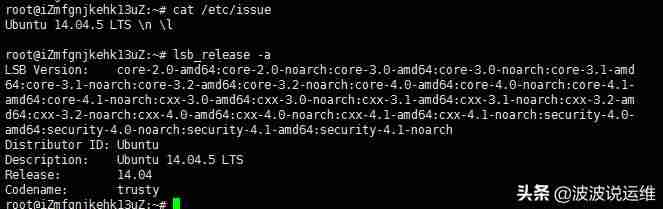 linux查看系统信息命令-查看电脑操作系统版本-第3张图片