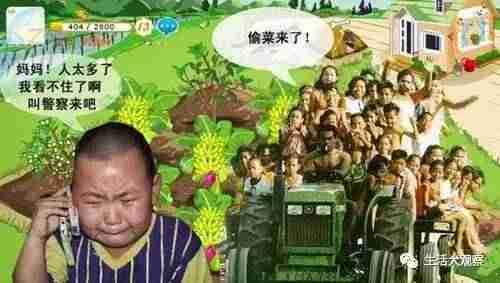 手机qq农场作物经验表-qq农场作物成熟时间表-第3张图片